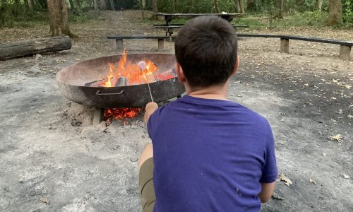 marshmallows